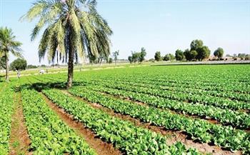 مدير مركز الأهرام: نشهد فلسفة جديدة في القطاع الزراعي منذ عام 2014