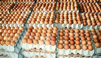  أسعار البيض اليوم الخميس 1-8-2024