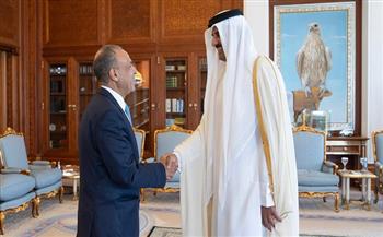 وزير الخارجية يبحث مع أمير دولة قطر جهود البلدين لإنهاء الحرب في غزة