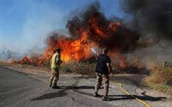 السيطرة على الحرائق بمناطق جنوب لبنان