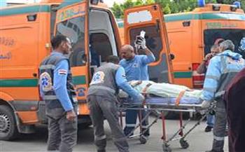 العناية الإلهية تنقذ 11 شخصًا من الموت المحقق في حادث بالجيزة