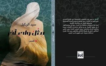  الثلاثاء.. منتدى المستقبل للفكر والإبداع يناقش «مثل واحد آخر» لسيد الوكيل