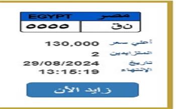 خطوات المشاركة في المزايدة على اللوحات المميزة.. «ق ط ن-1» تتخطى نصف مليون جنيه