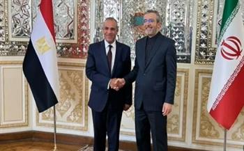 وزير الخارجية: مصر ترفض السياسات التصعيدية الإسرائيلية وسياسة الاغتيالات