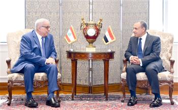 وزير الخارجية يبحث مع نظيره اللبناني مستجدات الأزمة في غزة وجهود مصر لاحتواء التصعيد الإقليمي