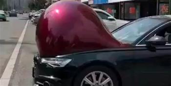 ظاهرة غربية.. سيارات "حوامل" تغزو شوارع هذه الدولة وتدهش الجميع (فيديو) 
