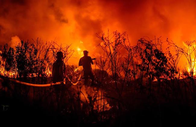 العالم يحترق وأفريقيا على مشارف كارثة.. 22 سبتمبر نودع الصيف الأكثر سخونة    