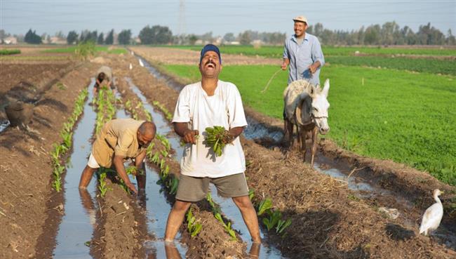 مكتسبات الفلاح فى الجمهورية الجديدة