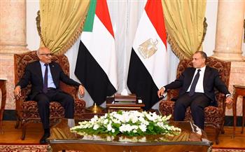 وزير الخارجية يستعرض جهود مصر المبذولة لحل الأزمة في السودان