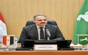 الشرقية: تنفيذ 277 مشروعا بتكلفة 4ر130 مليون جنيه ضمن مشروعك خلال 2024