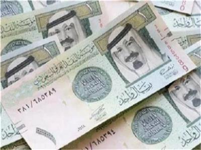 سعر الريال السعودي مقابل الجنيه اليوم الأحد 12 يناير 2025