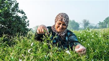 "زراعة الغربية": مصر تحتل المركز الأول عالمياً في إنتاج زهرة الياسمين 