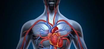5  نصائح لتنشّيط الدورة الدموية وحماية القدم السكري