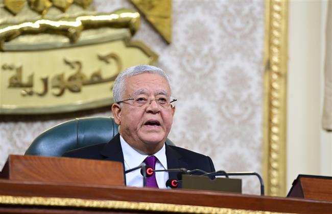 رئيس مجلس النواب: الاعتراض في قانون الإجراءات الجنائية انصب على 8 مواد فقط من أصل 552 مادة
