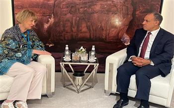 وزير الخارجية يستعرض جهود مصر الرامية لوقف الحرب الإسرائيلية على غزة ونفاذ المساعدات الإنسانية