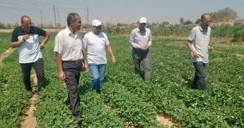 وفد "الزراعة" بالأقصر: خطة مكثفة لحماية المحاصيل الاستراتيجية من الآفات