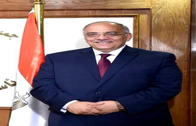 نائب رئيس الوزراء يهنئ الدكتور شريف وديع بتعيينه عضوًا بمجلس الشيوخ