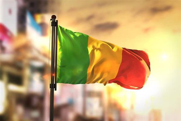 مالي تفرض قيودًا على تأشيرات المواطنين الأمريكيين ردًا على قرار مماثل من واشنطن