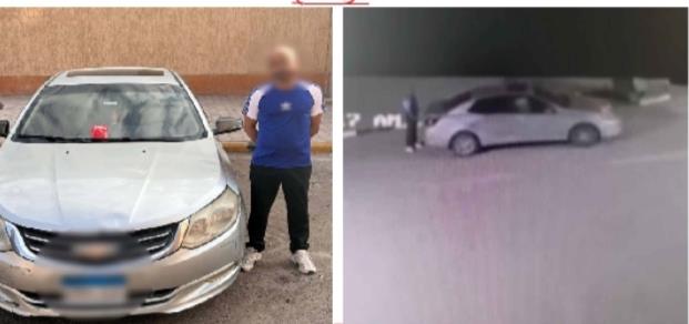 الداخلية تضبط سائقًا سمم كلابًا ضالة في حدائق الأهرام 