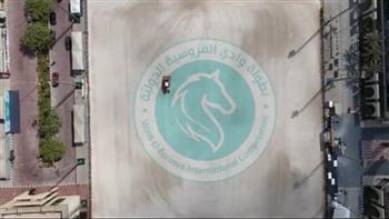 وادي الفروسية يستضيف البطولة الدولية لقفز الموانع بمشاركة 190 فارسًا وفارسة
