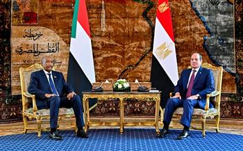 الرئيس السيسي يؤكد رفض مصر تشكيل أي كيانات حكم موازية للحكومة السودانية الشرعية