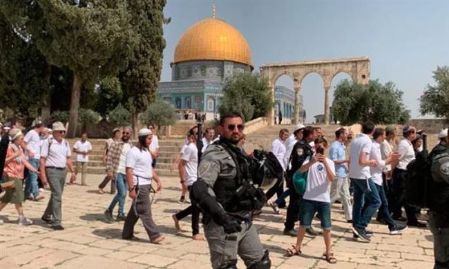 373 مستوطنًا يقتحمون باحات المسجد الأقصى بحماية شرطة الاحتلال
