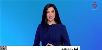 أمل الحناوي: اتفاق شرم الشيخ نجح في غلق صفحة أليمة في تاريخ البشرية 