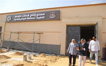 نائب محافظ الوادي الجديد تتابع تجهيزات إنشاء المجمع الحرفي بالمنطقة الصناعية بالخارجة