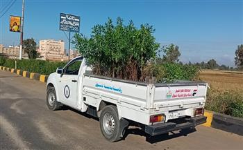 محافظ كفرالشيخ يتابع زراعة الأشجار بدسوق ضمن المبادرة الرئاسية «100 مليون شجرة»