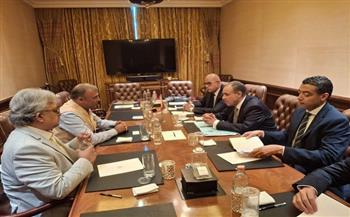 وزير الخارجية: مصر مهتمة بتعزيز التعاون مع الشركات الأجنبية لجذب المزيد من الاستثمارات