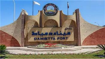 ميناء دمياط يستقبل سفينة التغييز 