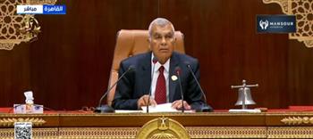 رئيس مجلس الشيوخ: مصر أكدت مكانتها كقوة إقليمية ودولية عاقلة