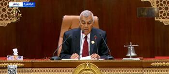 فريد: شهدنا بفخر واعتزاز عظمة الموقف المصري من العدوان على غزة