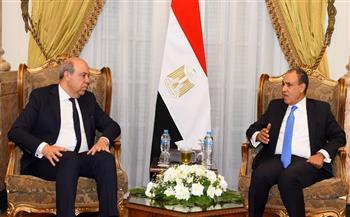 وزير الخارجية يؤكد استمرار مصر في تقديم الدعم الفني للدول الإفريقية والعربية