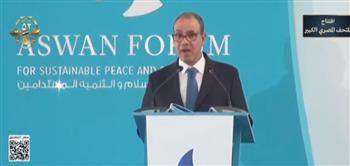 وزير الخارجية: مصر أكثر دول العالم تضررًا من حالة عدم الاستقرار بالبحر الأحمر وخليج عدن