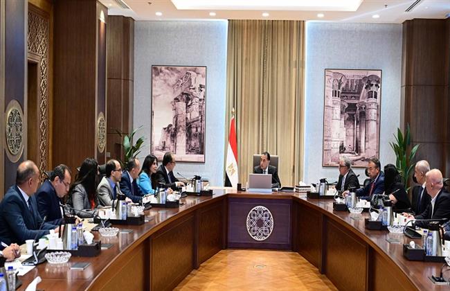 مدبولي يبحث مع رئيس "أروجلو" التعاون في إدارة وتشغيل عدد من مصانع الغزل والنسيج