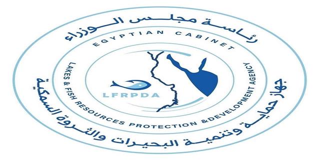 "تنمية البحيرات": إنزال 1.65 مليون زريعة سمكية بنهر النيل في المنيا