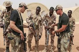 النيجر: مقتل 8 إرهابيين على الأقل غربي البلاد