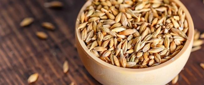 فوائد الشعير للدايت