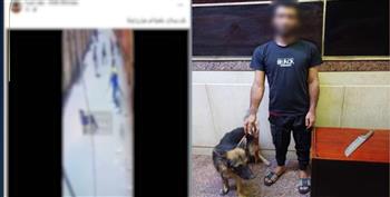 القبض على شخص بحوزته كلب لممارسة أعمال البلطجة في الجيزة