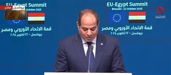 الرئيس السيسي يؤكد أهمية استقرار ليبيا وخروج جميع المرتزقة من البلاد