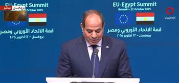 الرئيس السيسي: مصر تقوم بدور جوهري في منع الهجرة غير الشرعية باتجاه أوروبا