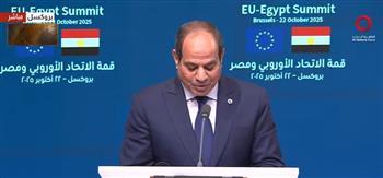 الرئيس السيسي: مصر تقوم بدور جوهري في منع الهجرة غير الشرعية باتجاه أوروبا