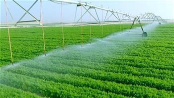 «الإحصاء»: ارتفاع المساحة المنزرعة في مصر 2.7% خلال 2023/ 2024