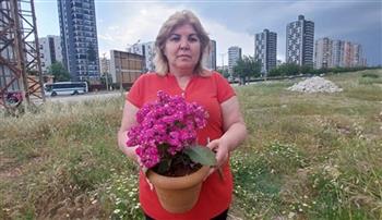 أغرب عملية احتيال.. تركية تفقد ثروتها بسبب باقة زهور