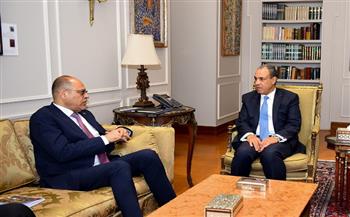 وزيرا الخارجية والعمل يناقشان الهجرة والعمالة المصرية بالخارج