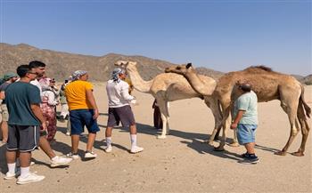 الشباب والرياضة تواصل فعاليات مغامرة "يلا كامب" في يومها الثاني بمرسى علم