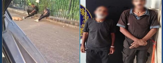 سقوط عاطلين ظهرا بمقطع فيديو تحت تأثير المخدرات بالقاهرة