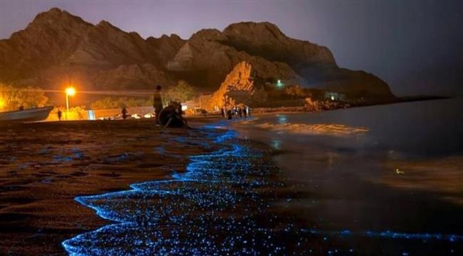 «الدموع الزرقاء» تضئ شواطئ هذه الدولة العربية