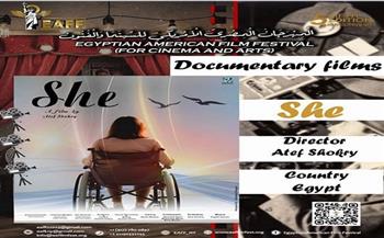 الفيلم التسجيلي «هي» يشارك في المهرجان المصري الأمريكي للسينما والفنون بنيويورك